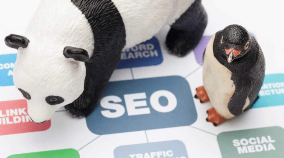 SEO: É Por Isso Que Você Não Sai do Lugar